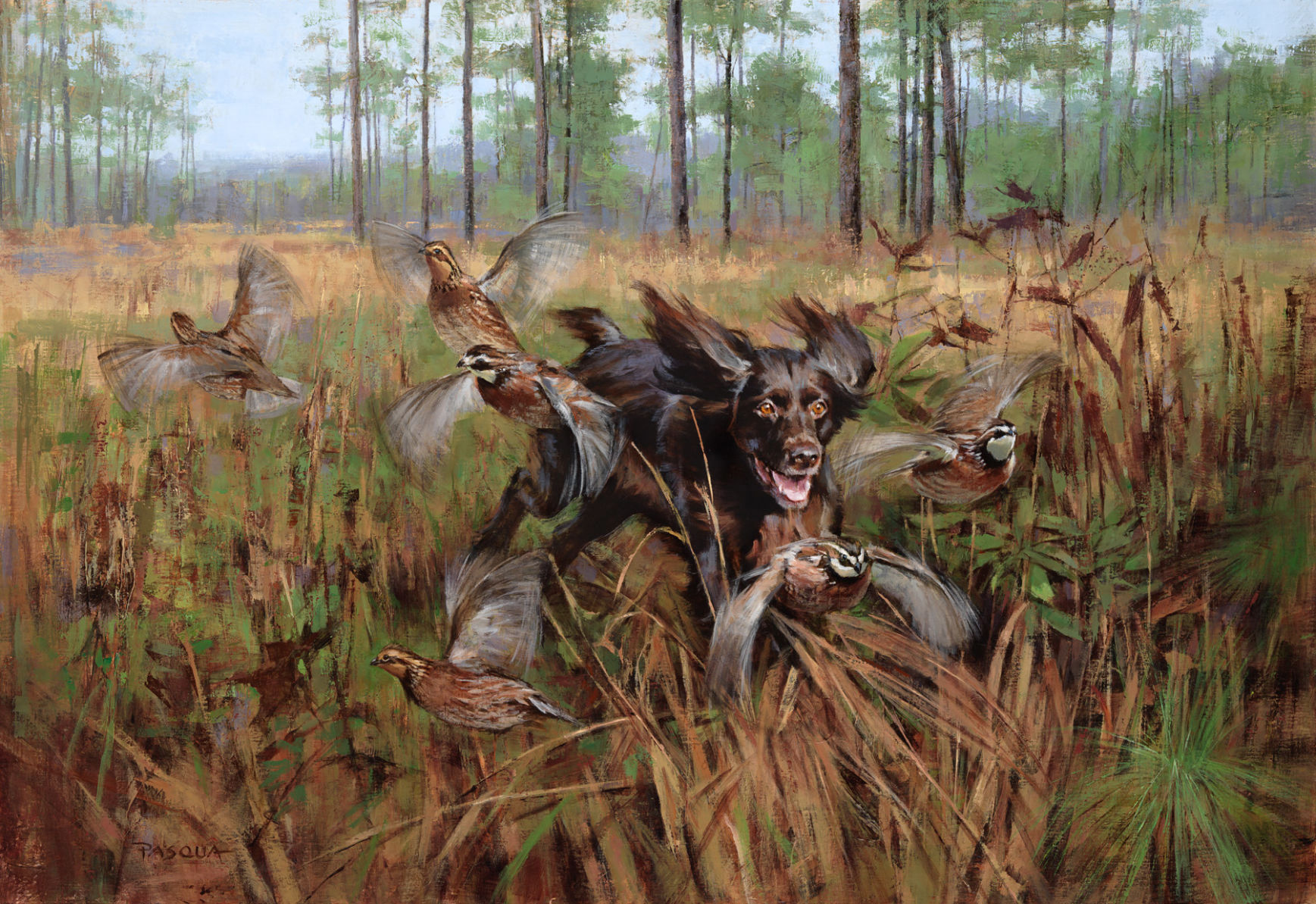 sewe_Little Havoc.jpg (copy)